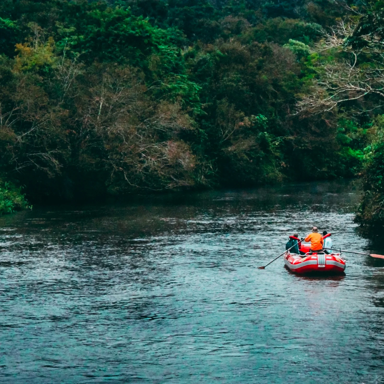 Rafting