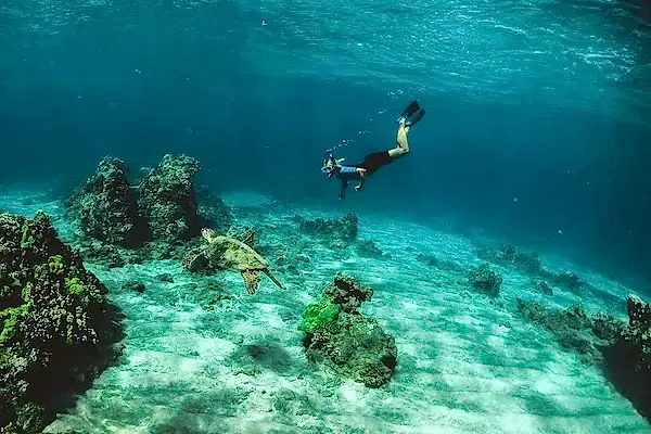 Ölüdeniz Tüplü Dalış